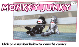 Monkey Junky